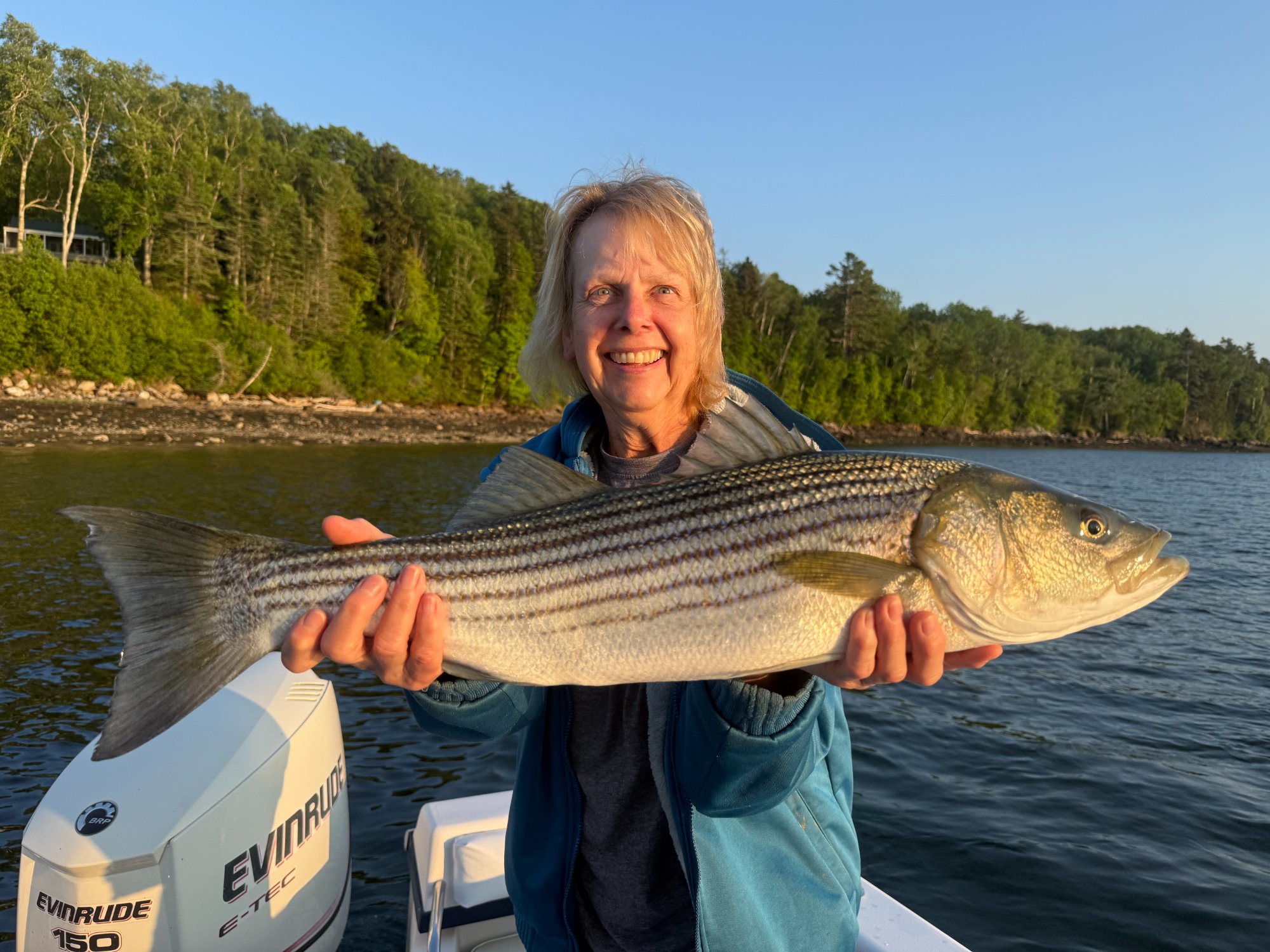 Donna holding a striped bass at golden hour on the New Meadows