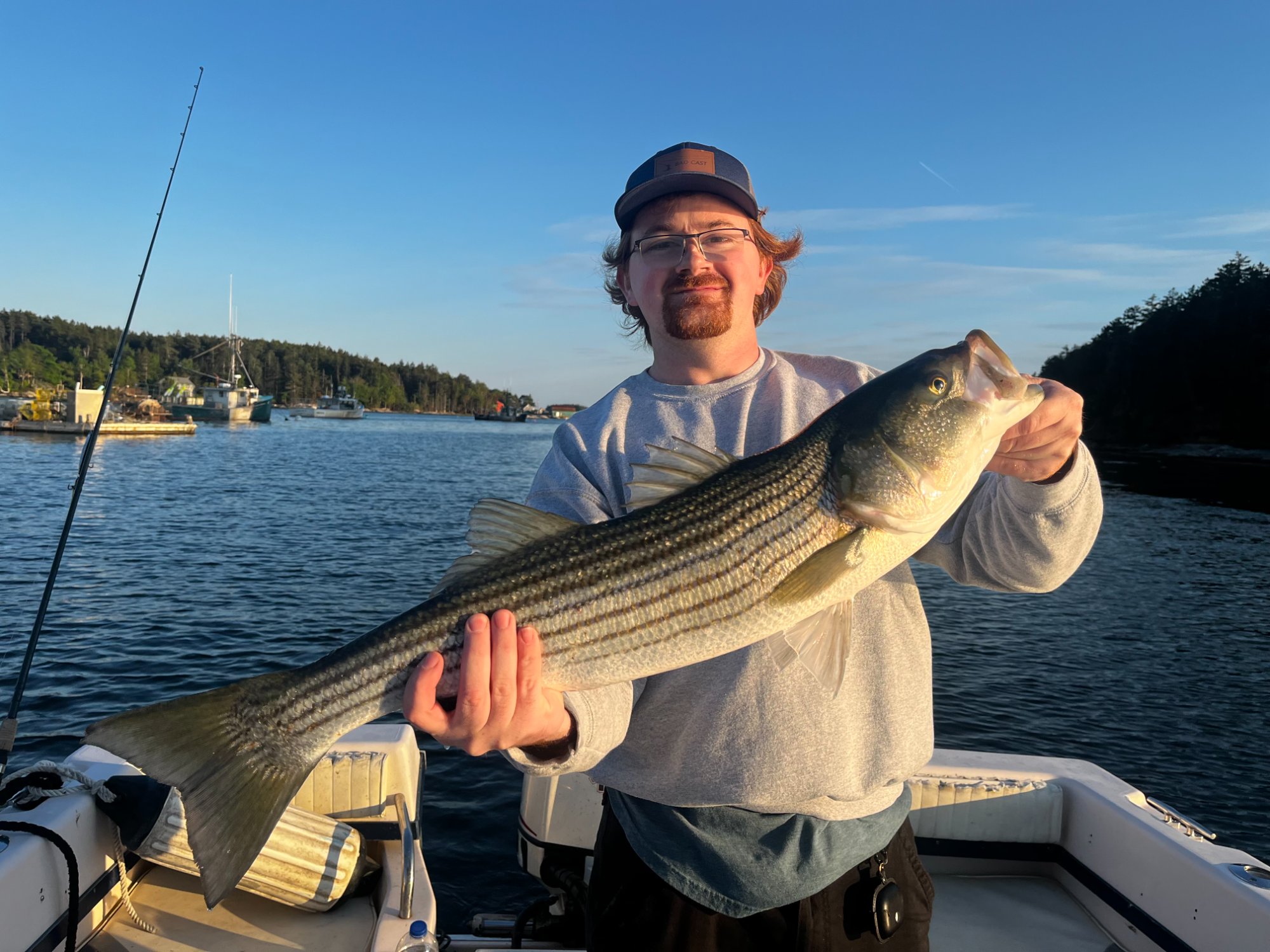 Fly fishing for striped bass along the Maine rocky shoreline